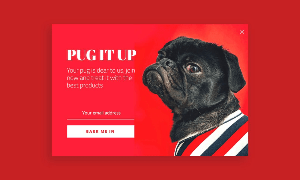 Popup pug